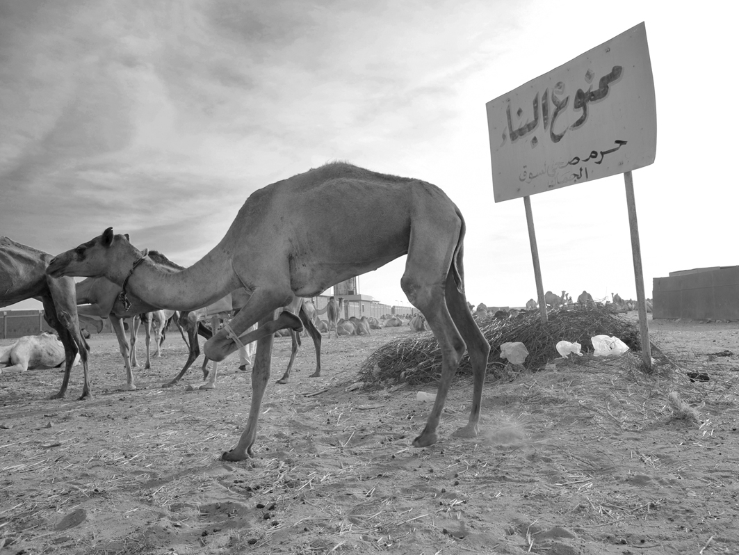 Shalateen – Beduinenmarkt in Ägypten an der sudanesischen Grenze