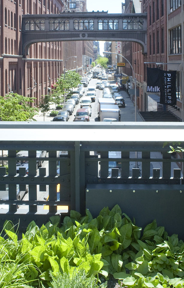 High Line Park NewYork entworfen von Diller+Scofidio
